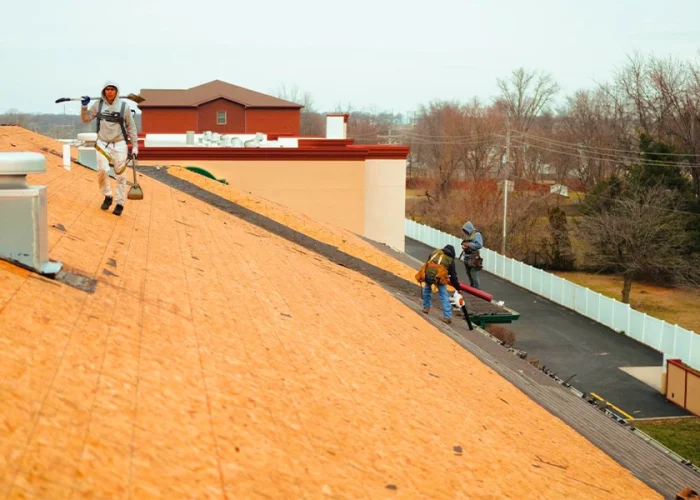 roof-replacement-comparison